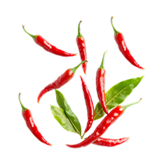 chili